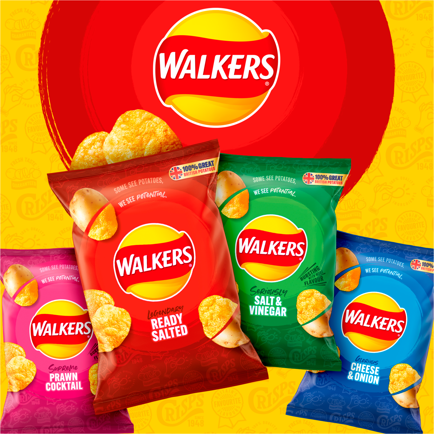 Walkers Crisps Chips Variety Classic 20 x 25g FAMILY